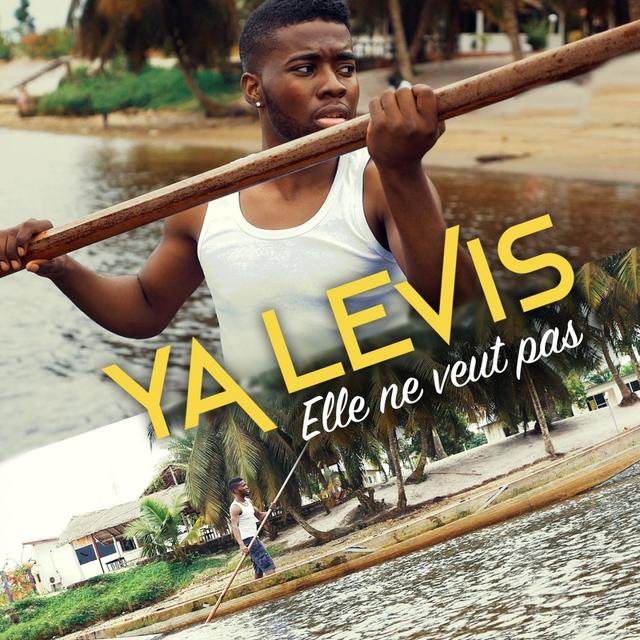 Album cover art for Elle ne Veut Pas