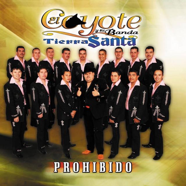 Album cover art for Prohibido