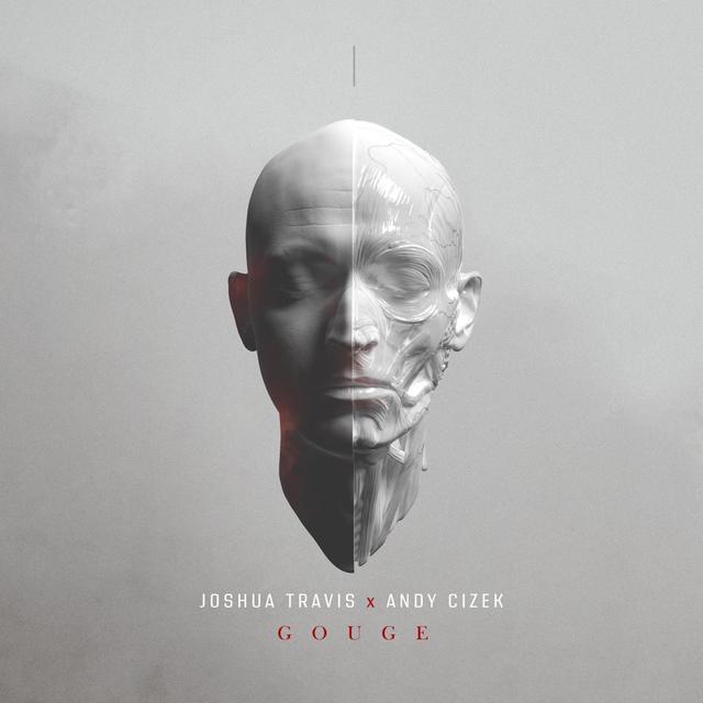 Album cover art for Gouge