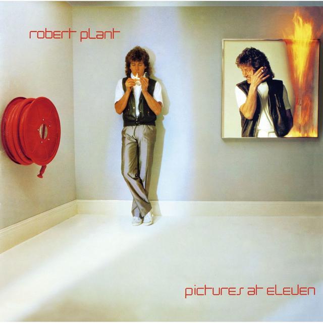 Album cover art for Pictures at Eleven