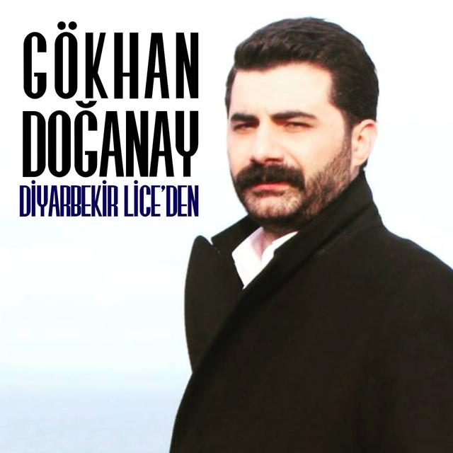 Album cover art for Diyarbekir Lice'den