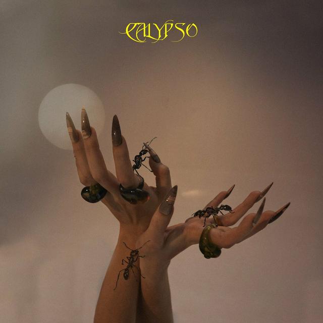 Album cover art for Calypso