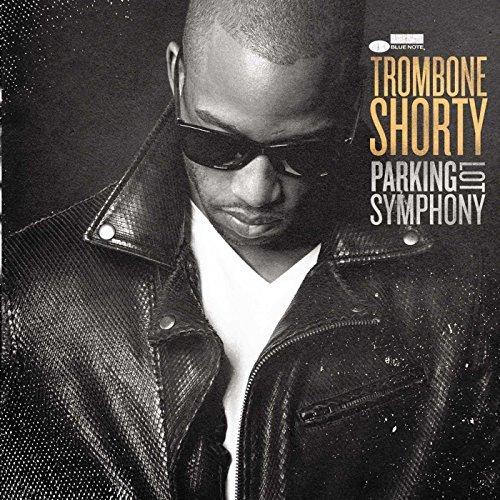 Album cover art for Parking Lot Symphony