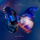 Album cover art for THE BUTTERFLY