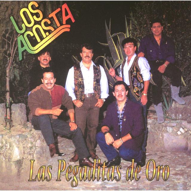 Album cover art for Las Pegaditas de Oro