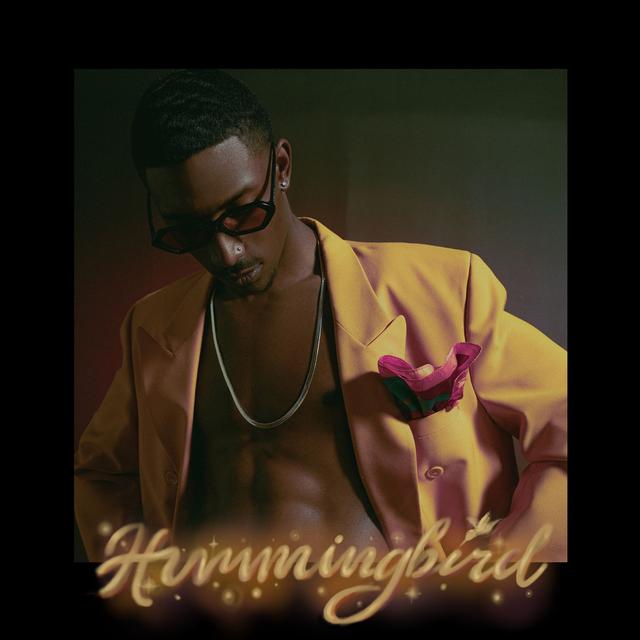 Album cover art for Hummingbird