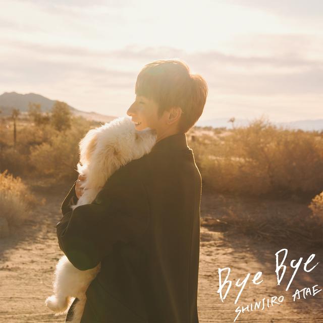 Album cover art for Bye Bye - Single