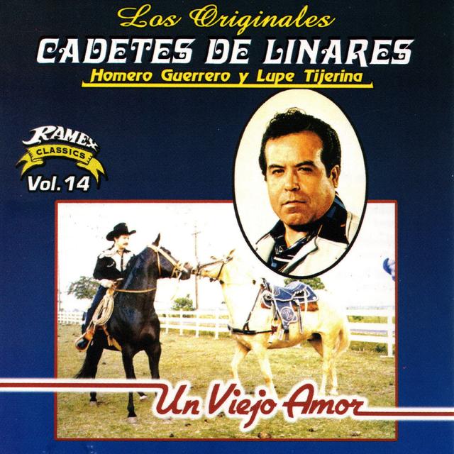 Album cover art for Un Viejo Amor