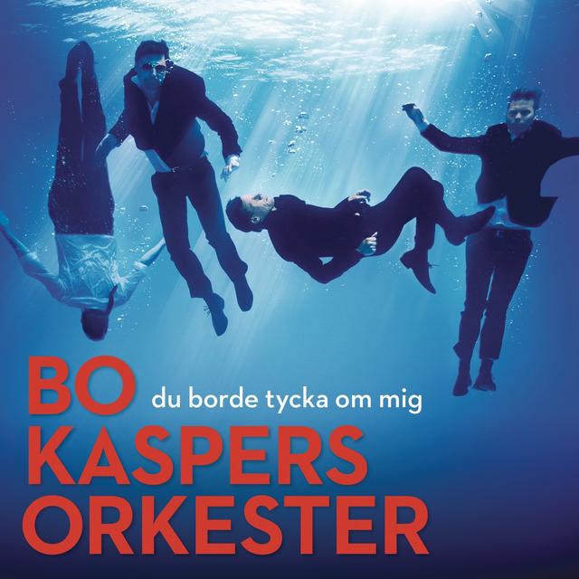 Album cover art for Du Borde Tycka Om Mig