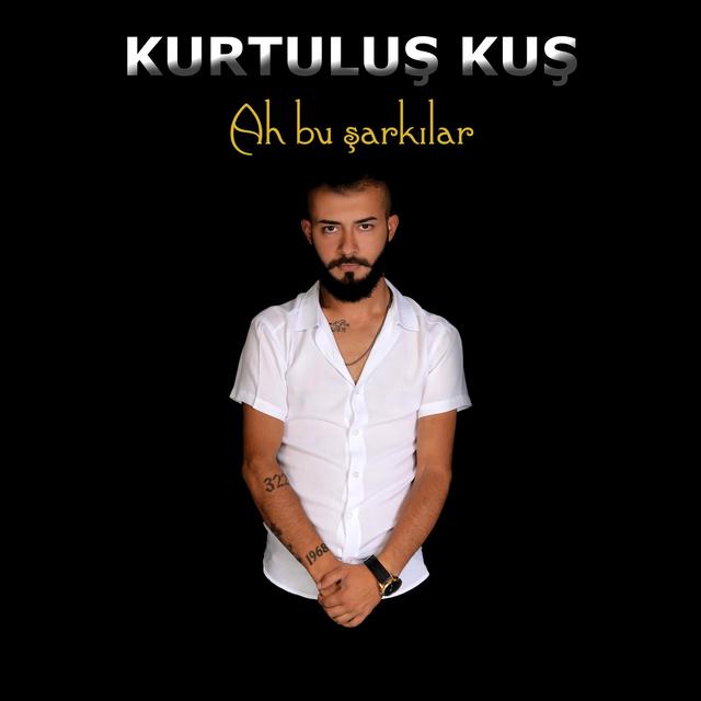 Album cover art for Ah bu şarkılar