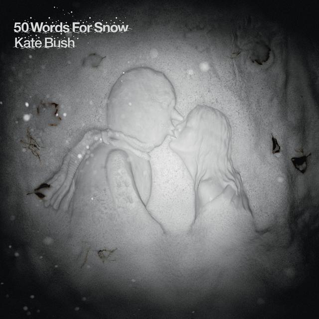 Album cover art for 50 Words for Snow