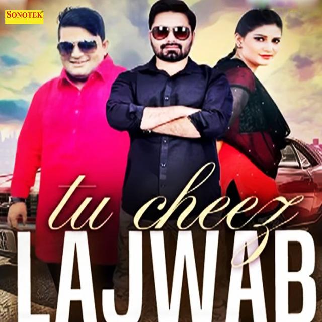 Album cover art for Tu Cheez Lajawab