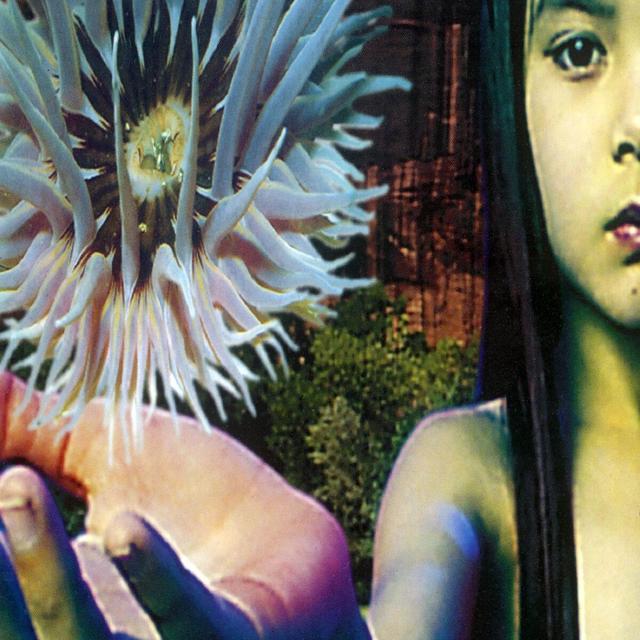 Album cover art for Lifeforms