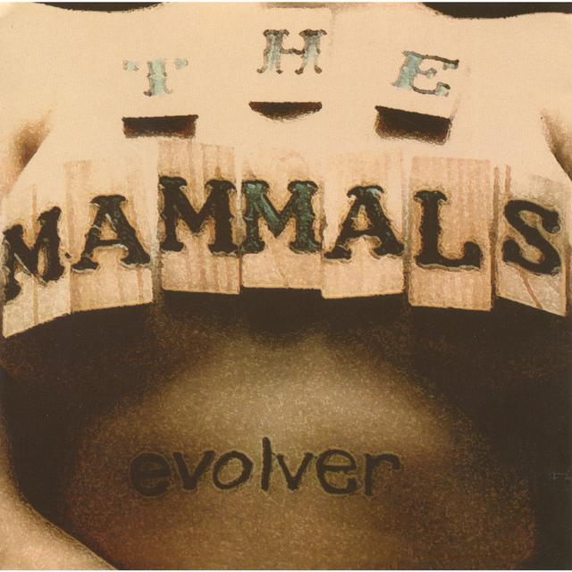 Album cover art for Evolver