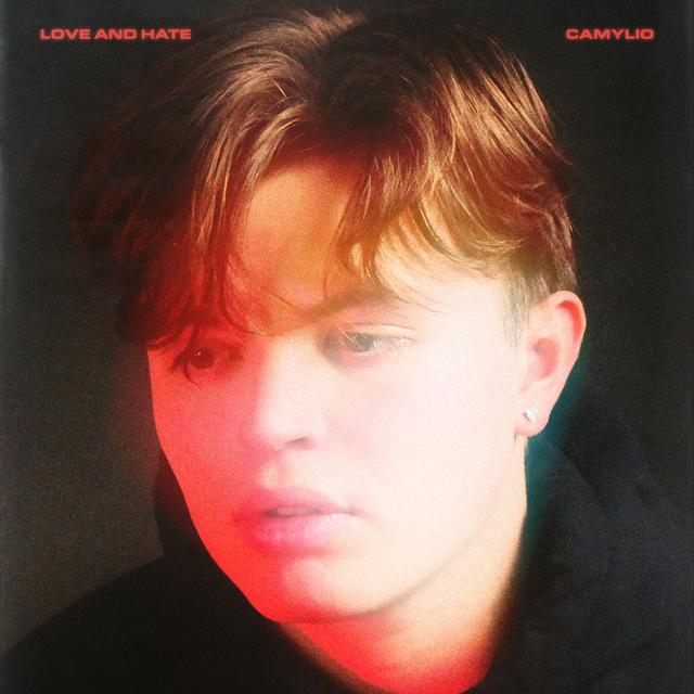 Album cover art for love and hate