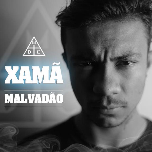 Album cover art for Malvadão