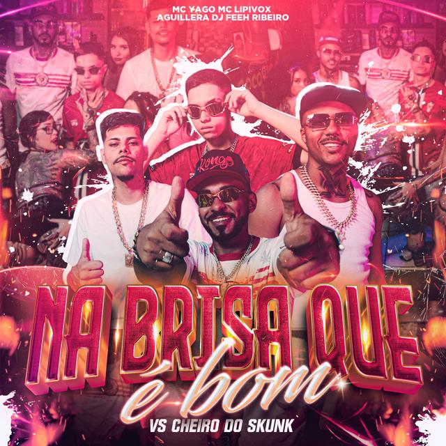 Album cover art for Na Brisa Que É Bom Vs Cheiro do Skunk