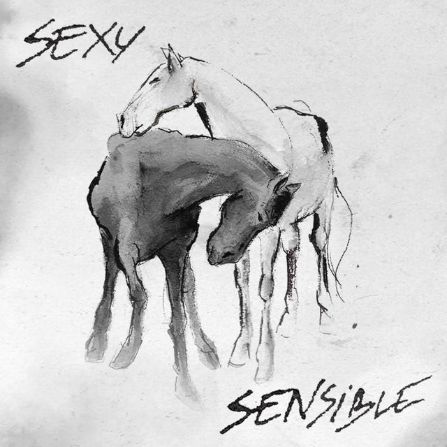 Album cover art for SexySensible