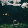 봄 Spring (Spring)