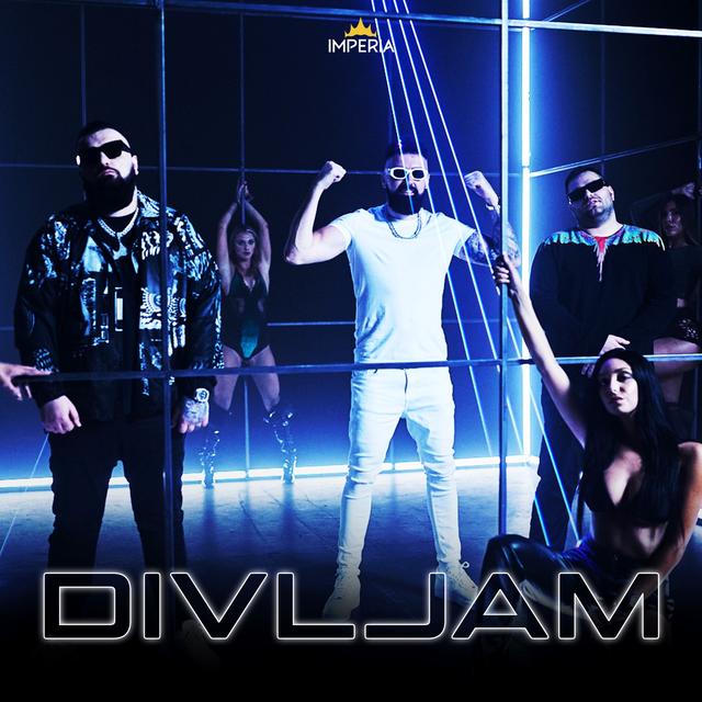 Album cover art for Divljam