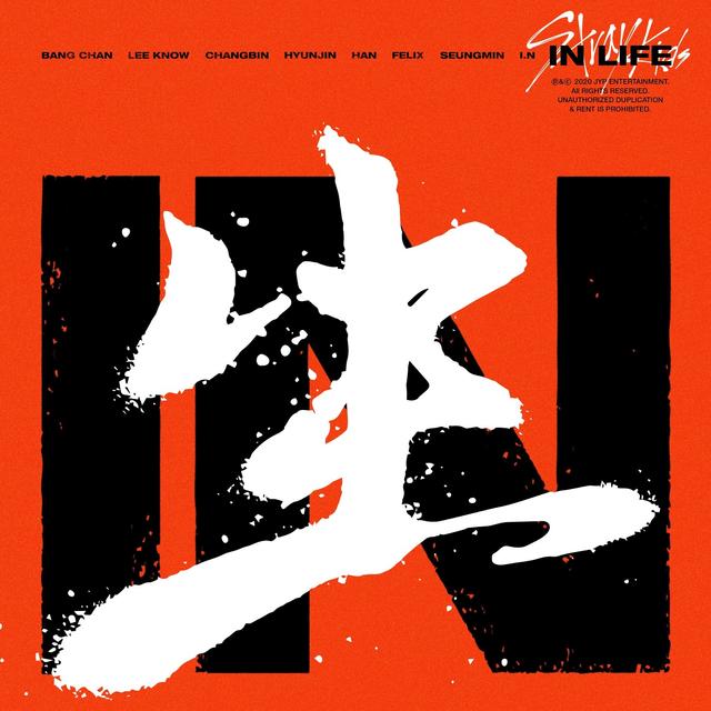 Album cover art for IN LIFE