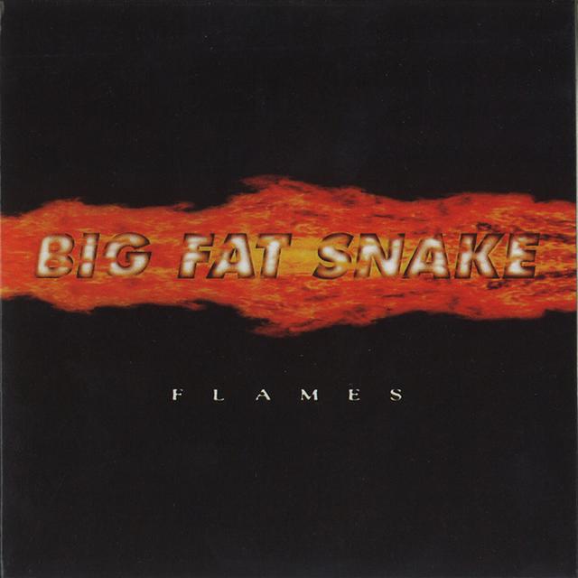 Album cover art for Flames