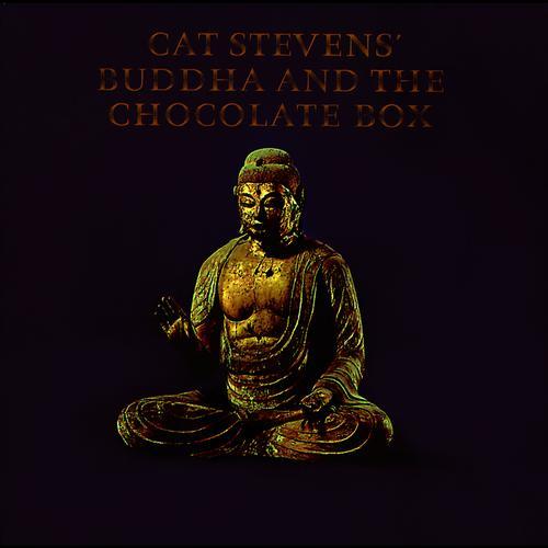 Album cover art for Buddha and the Chocolate Box