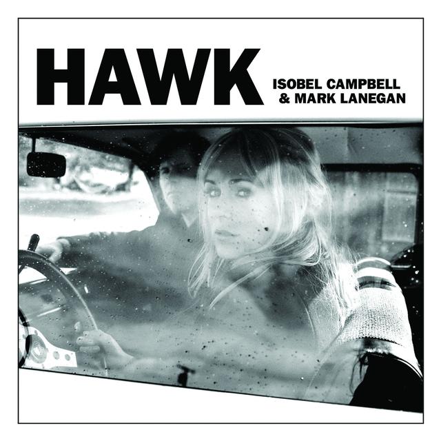 Album cover art for Hawk