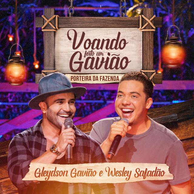 Album cover art for Voando Feito um Gavião