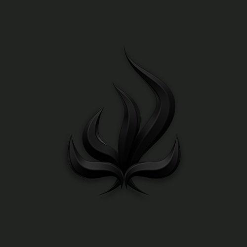 Album cover art for Black Flame