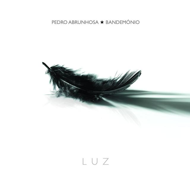 Album cover art for Luz