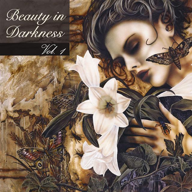 Album cover art for Beauty In Darkness