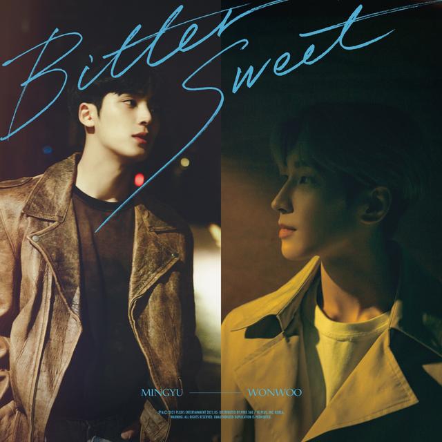 Album cover art for Bittersweet