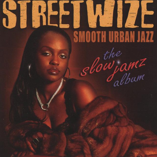 Album cover art for Smooth Urban Jazz: The Slow Jamz Album