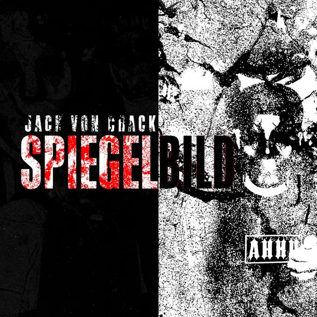 Album cover art for Spiegelbild