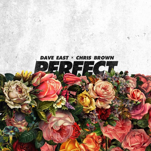 Album cover art for Perfect