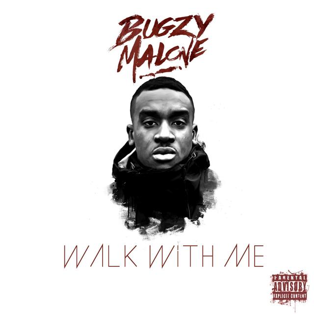 Album cover art for Walk With Me