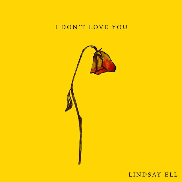 Album cover art for I Don't Love You