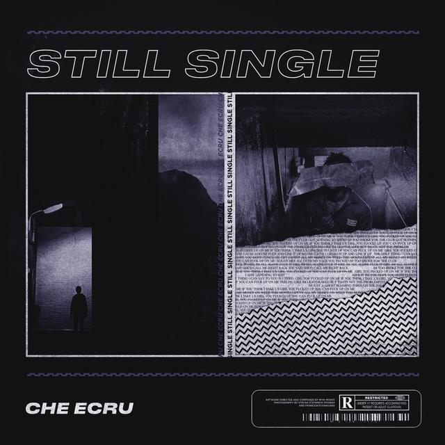 Album cover art for Still Single