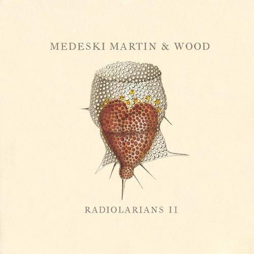 Album cover art for Radiolarians 2