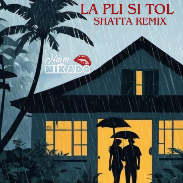 Album cover art for LA PLI SI TOL