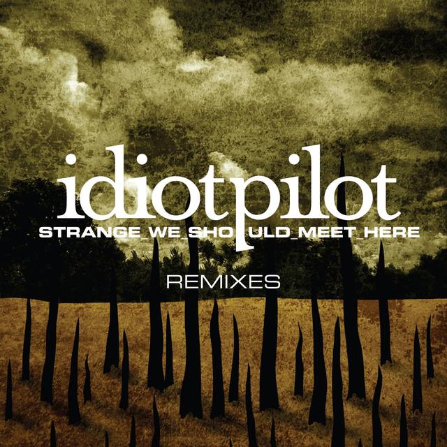 Album cover art for Remixes From "Strange We Should Meet Here"