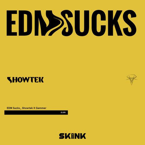 Album cover art for EDM Sucks