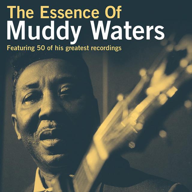 Album cover art for The Essence Of Muddy Waters