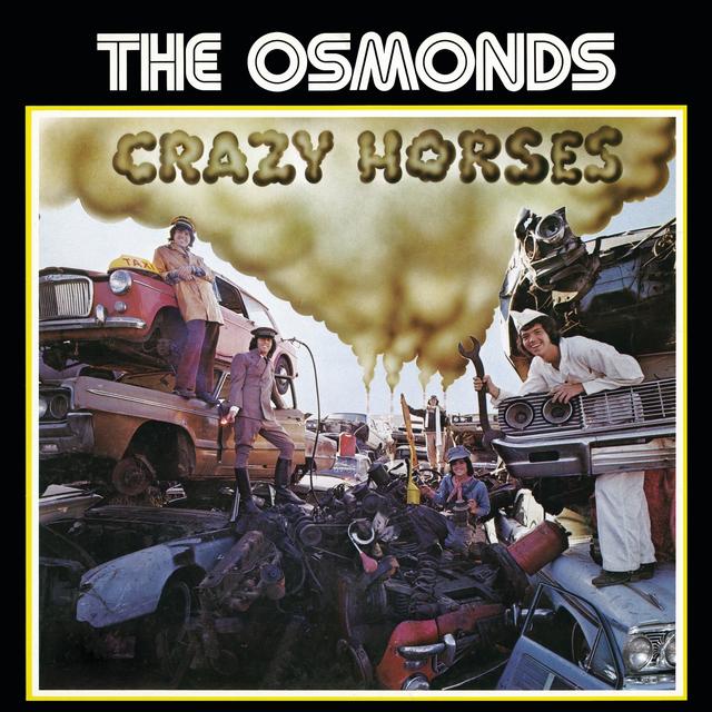 Album cover art for Crazy Horses