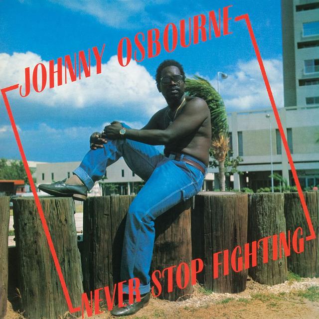 Album cover art for Never Stop Fighting