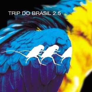 Album cover art for Trip Do Brasil 2.5