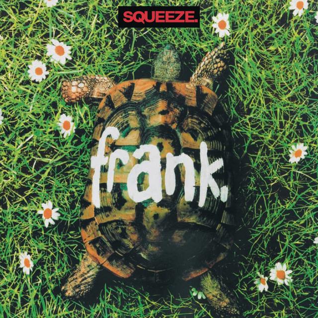 Album cover art for Frank