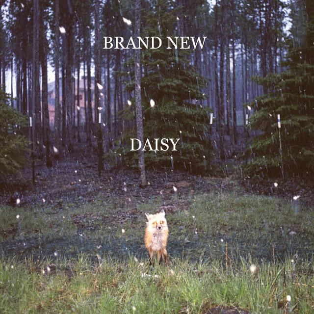 Album cover art for Daisy