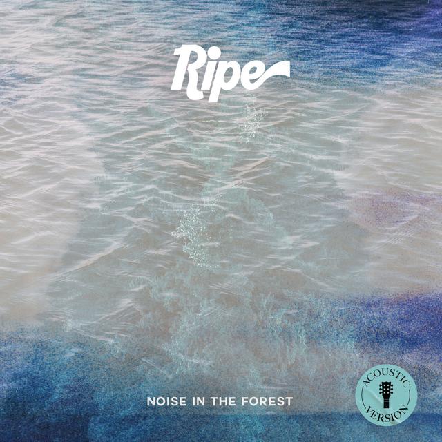 Album cover art for Noise in the Forest